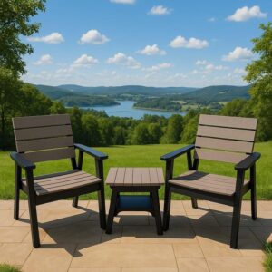 SET DE BUTACA PORTILLO